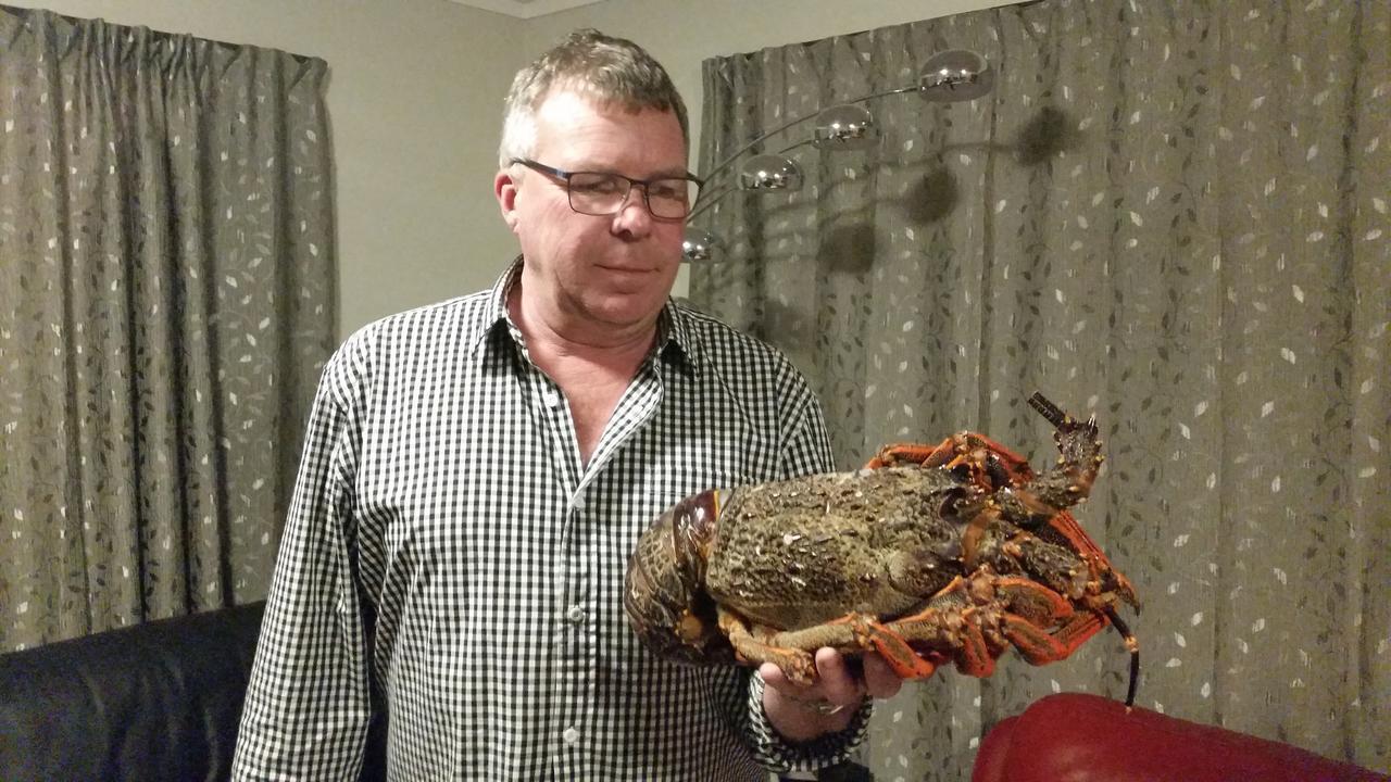 莫莱克博德尔汽车旅馆 Hampden 外观 照片